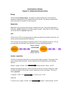 Intermediate 2 Biology Chapter 4 – Respiration Revision Notes +