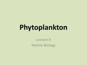 Lecture 8_Phytoplankton