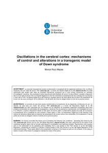 Oscillations in the cerebral cortex: mechanisms of control and