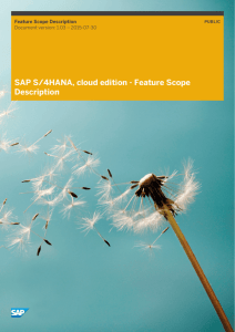 SAP S/4HANA, cloud edition - Feature Scope Description