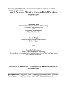 audit program planning using a belief function framework