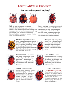lost ladybug project - Oregon State University Extension Service