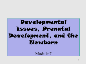 Developmental Issues, Prenatal Development, and the Newborn
