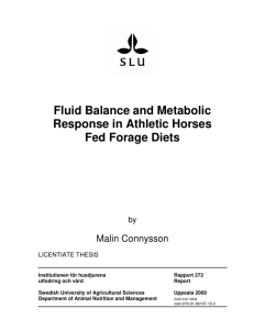 Fluid Balance and Metabolic Response in Athletic Horses Fed