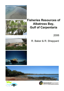 Fisheries Resources of Albatross Bay - Seagrass