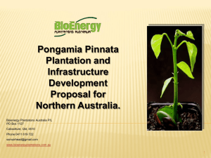 integrated development weipa - BioEnergy Plantations Australia