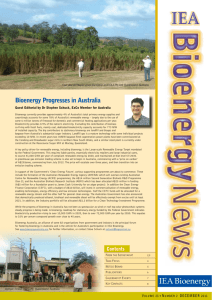 IEA Bioenergy News 23(2). - NachhaltigWirtschaften.at