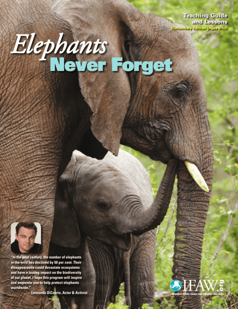 elephants-never-forget