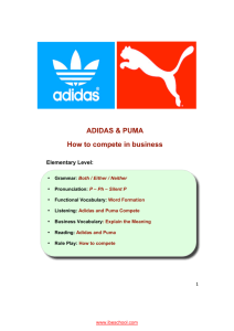 ADIDAS & PUMA How to compete in business