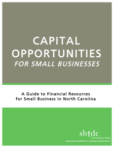 Capital Opportunities for Small Businesses (2014)