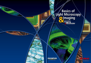 Basics of Light Microscopy Imaging
