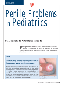 Penile Problems in Pediatrics - STA HealthCare Communications