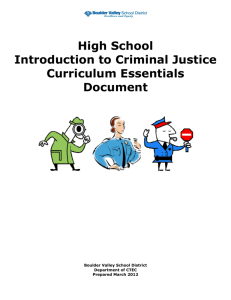 Introduction To Criminal Justice