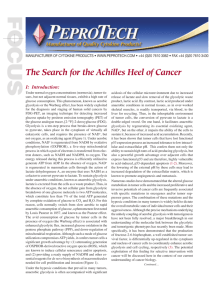 The Search for the Achilles Heel of Cancer