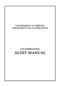 audit manual