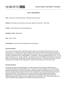 Mathematics: Introduction to Partial Derivatives in a Business