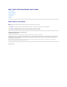 Dell P1911 Monitor User's Guide