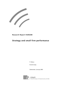 Strategy and small firm performance