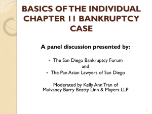 basics of the individual chapter 11 bankruptcy case