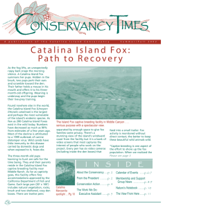 Catalina Island Fox: Path to Recovery
