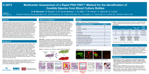 Multicenter Assessment of a Rapid PNA FISH Method for