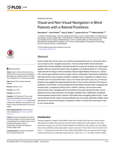 Visual and Non-Visual Navigation in Blind Patients with a Retinal