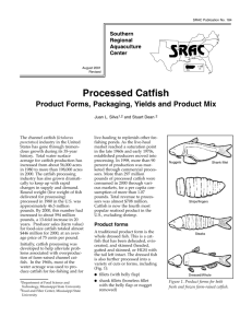 Processed Catfish - Product forms, Packaging, Yields