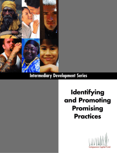 Identifying and Promoting Promising Practices