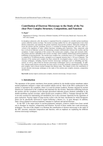 Contribution of Electron Microscopy to the Study of the Nu