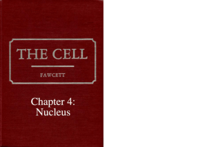 Chapter 4 - American Society for Cell Biology
