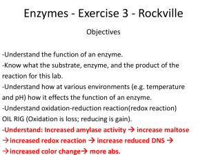 Enzymes - Exercise 3
