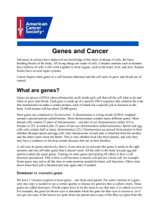 Genes and Cancer - American Cancer Society