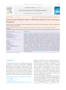 Chemical and biological studies of Kalanchoe pinnata (Lam