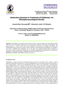 Kalanchoe pinnatum in Treatment of Gallstones