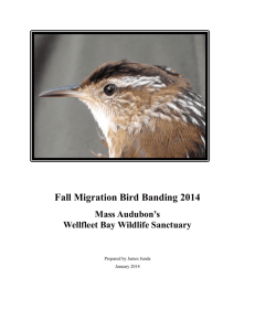 Fall Migration Bird Banding 2014