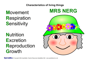 Mrs Nerg poster
