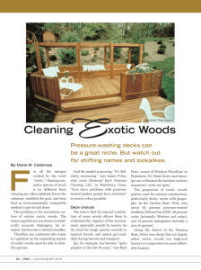 Cleaning Exotic Woods