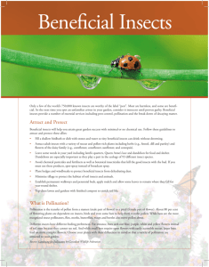 Beneficial Insects - Toronto and Region Conservation Authority
