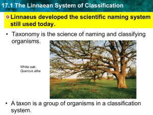 17.1 The Linnaean System of Classification Linnaeus developed the