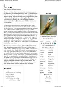 Barn owl - Wikipedia, the free encyclopedia