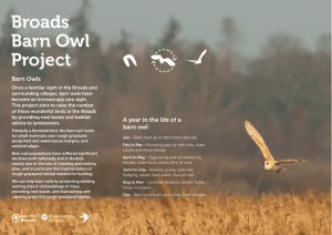 Broads Barn Owl Project