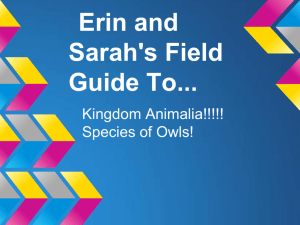 Erin and Sarah's Field Guide To