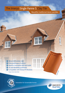 Single PANNE S p1 - Imerys Roof Tiles