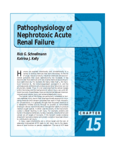 Pathophysiology of Nephrotoxic Acute Renal Failure