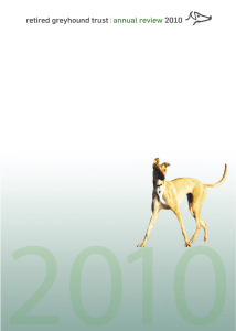retired greyhound trust annual review 2010