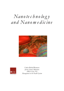 rep 13 Nanotechnology Report SANIT