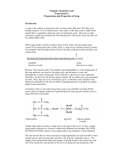 Organic Chemistry Lab - Seattle Central College