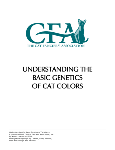 understanding the basic genetics of cat colors - For Kids