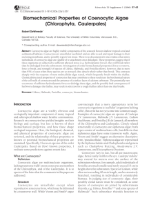 Biomechanical Properties of Coenocytic Algae (Chlorophyta