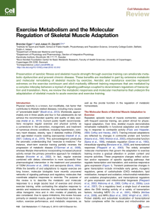 Exercise Metabolism and the Molecular Regulation of Skeletal